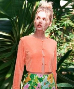 Trendy & Unique What's New Chic Round Neck Button Up Long Sleeve Crop Top - Burnt Orange