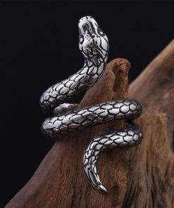 Trendy & Unique Punk Style Wrap Around Snake Shaped Embossed Ring - Silver What's New